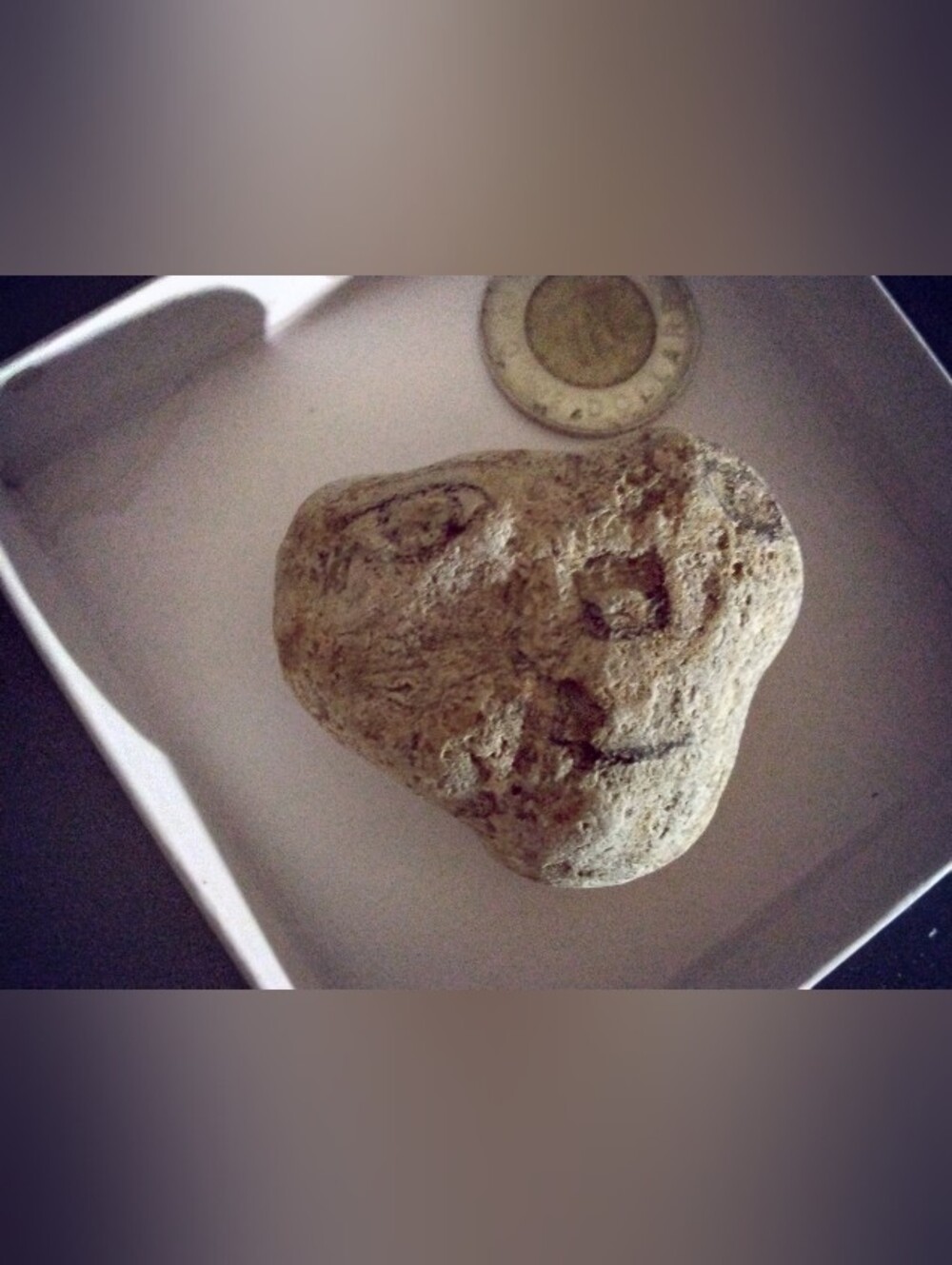 Natural Brown Reptile Decorating Rock - No Brand